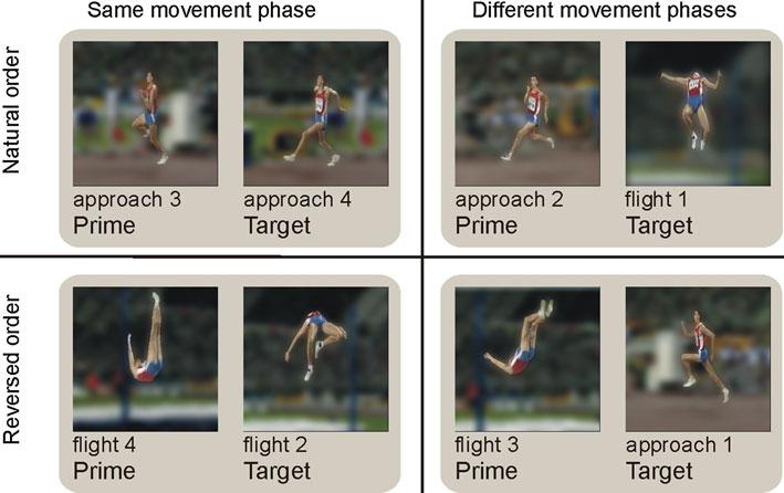 Exp Brain Res (2011) 213:383 391 385 presented body postures of the high-jump unconsciously, and whether the manner of processing differs between groups (qualitatively or quantitatively).