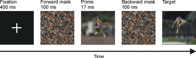 386 Exp Brain Res (2011) 213:383 391 high jump or at most minimal experiences from school lessons.