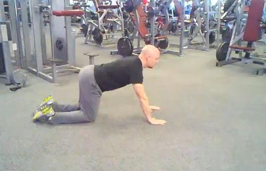 Workout D Pushup Plank (see above) Bodyweight Squat (see above) Close-Grip Pushups (see above) Alternating Lateral Lunge (see above) Bird Dog Kneel on a mat and place your