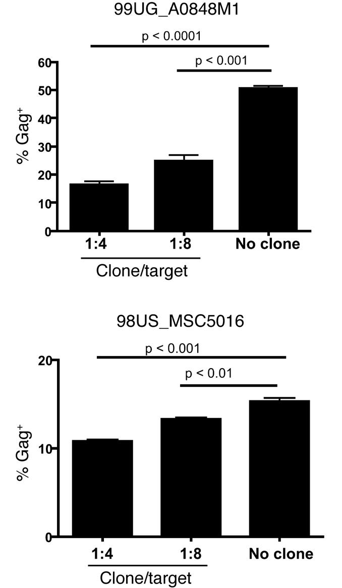 Figure 8 Confirmation of elimination of select viral isolates by HERV-K(HML-2)- Env specific T cells.