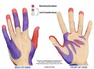 Activity: Wash Away Germs MATERIALS NEEDED Soap Paper towels Non-toxic water-soluble paint Paint brushes What to do: 1. Near a sink, paint your hands with the easy to wash off paint.