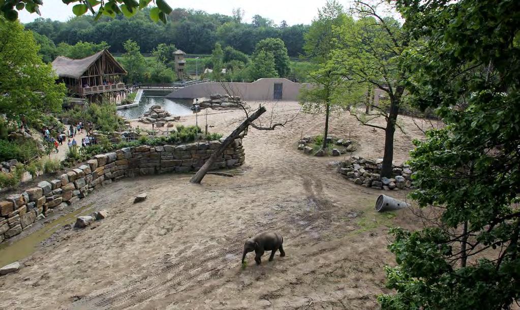 24 WAZA 16 (2015) Figure 2 Centre for Research and Conservation/Jeroen Stevens Space use of Asian elephants at Planckendael.