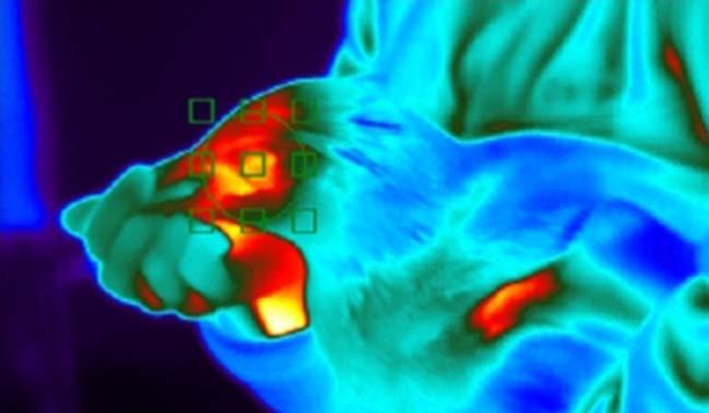 WAZA 16 (2015) 29 Figure 2 Detroit Zoological Society Exploring the use of infrared thermography as a non invasive measure of stress in rockhopper penguins. References Cherel, Y., Leloup, J.