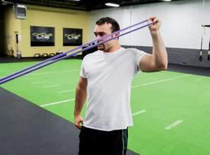 We suggest using the the #0 Orange Mobility Band. This exercise can also be performed with a single band. Grip one band with both hands.
