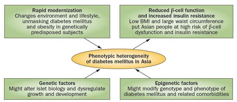 Phenotypic heterogeneity of Diabetes in Asians Kong AP, et al, Nat Rev Endocrinol 2013; May 28 Ma RC and Chan JC.
