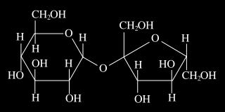 CARBOHYDRATES Triose Tetrose Pentose Glyceraldehydes