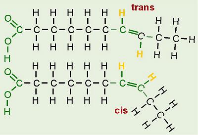 Cis-fatty acids are used by the body to produce hormonelike regulators and cell membranes However, when hydrogenated, they are changed to unhealthy trans-fatty acids The H atoms are on opposite sides