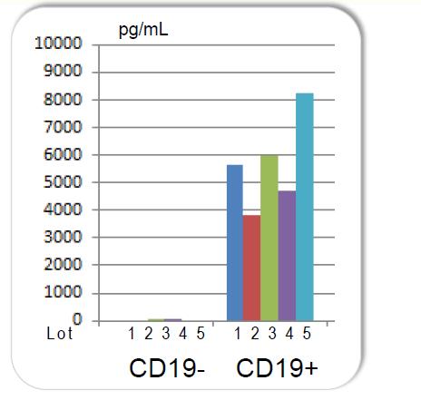 Potency bioassay for CART19 Cytokine release by ELISA Coculture with target cells Representative cytokine for