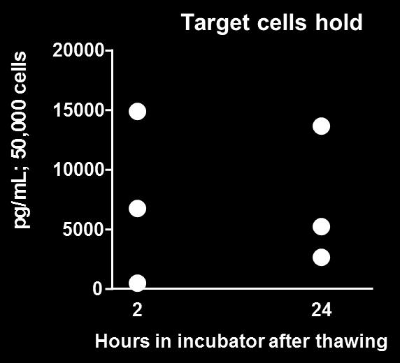 Robustness, Cell Hold at 37C Pre-plating of cells Cells were thawed and held at 37C for various times Conclusion CTL019 cells can be held for upto 6 hours