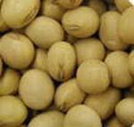 Soy foods Main source of isoflavones contain