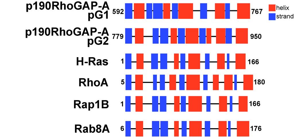 Supplementary Figure 1. Secondary structure prediction two GTPase-like domains in the p190rhogap middle domain.