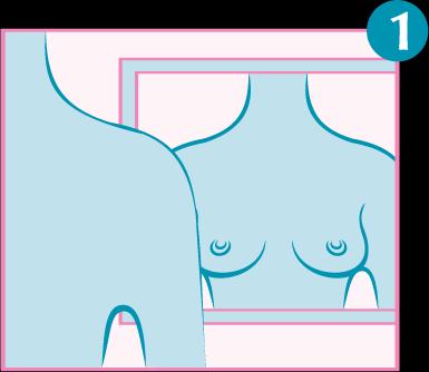 A Breast Self-Examination is as easy as 1-2-3 1.