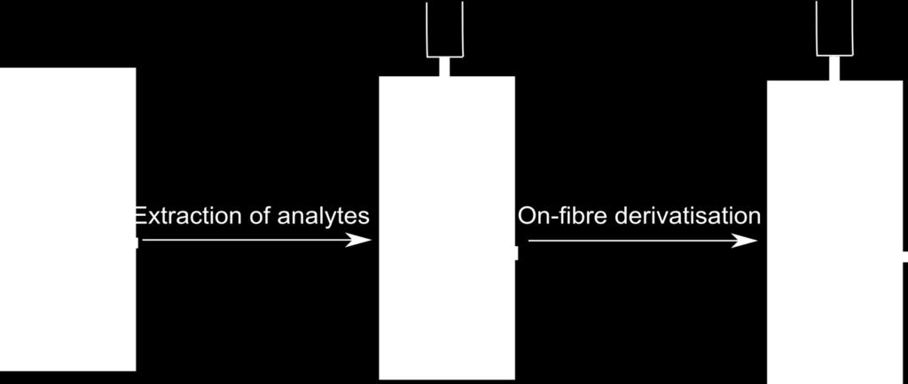 SPME in on-fiber derivatisation mode Advantages: simplification shortened