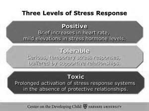edu Understanding the Biology of Stress 9 10 Health and Brain Function are Interconnected n Chronic or recurrent illness can compromise brain function directly through prolonged or repeated