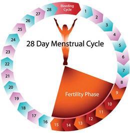 Long term effects of DUB 2. Infertility 1. Anovulation in PCOS causes DUB and infertility. 2. Obesity, difficulty in achieving weight loss 3.