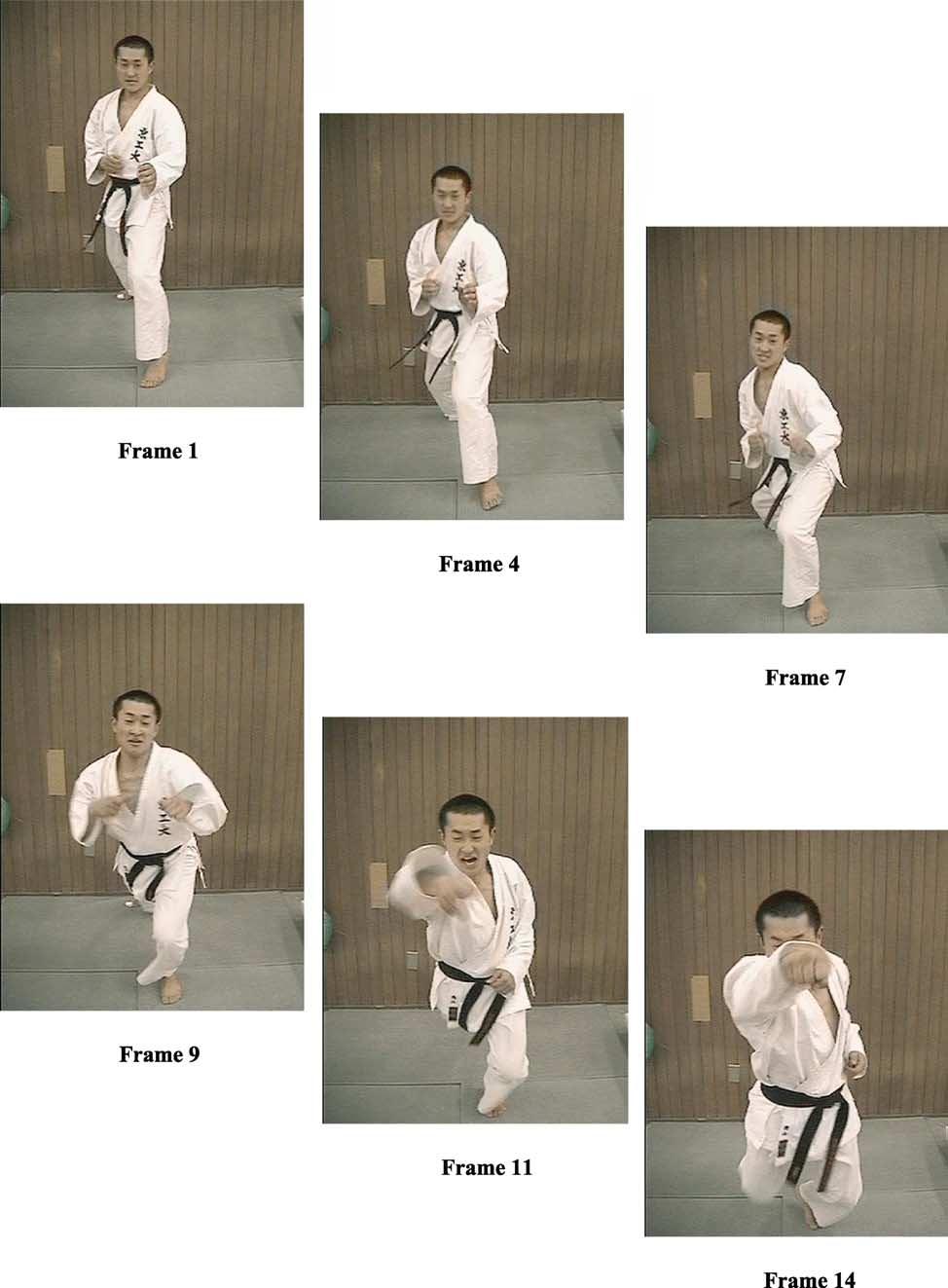 S. Mori et al. / Human Movement Science 21 (2002) 213 230 217 Fig. 1. An example of frame-edited video stimuli: thrusting punch to an upper level.