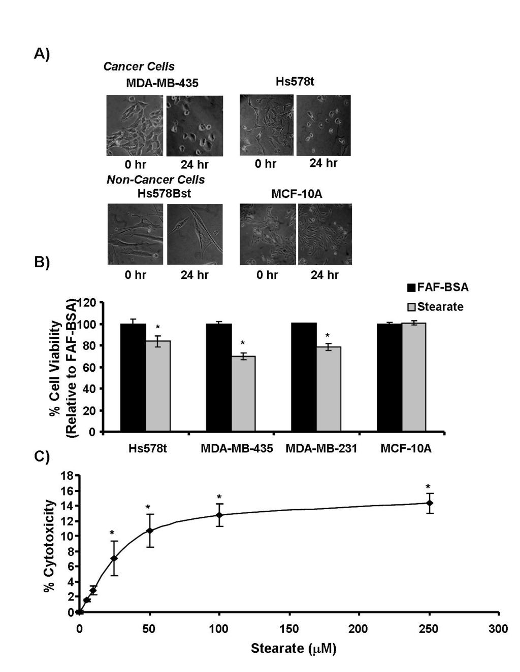 Figure 3-2: Stearate Decreased the Viability of the Human Breast Cancer Cells.