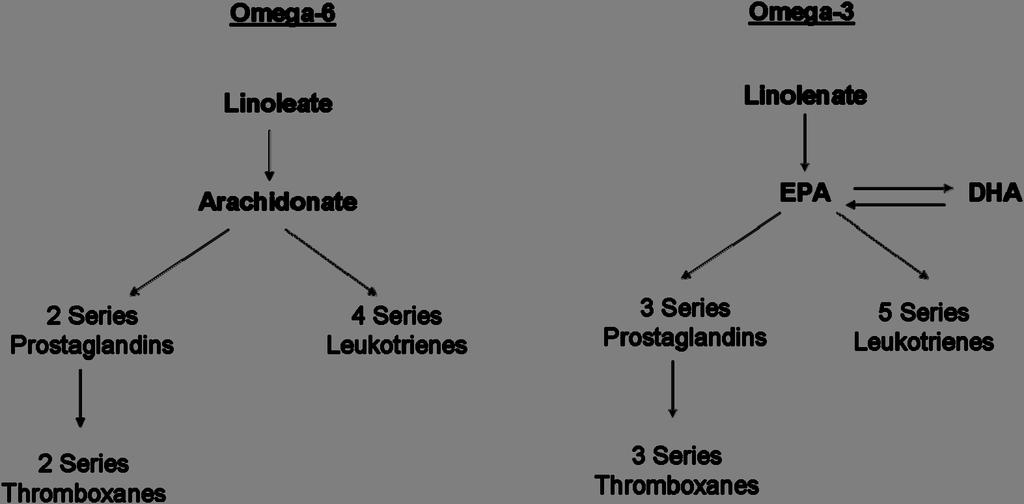 Figure 1-8: Omega-6 and Omega-3 Fatty Acid Metabolism.