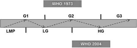 696 BWG van Rhijn et al Point mutations in the FGFR3 gene are well documented in inherited skeletal anomalies associated with dwarfism, such as achondroplasia and thanatophoric dysplasia.