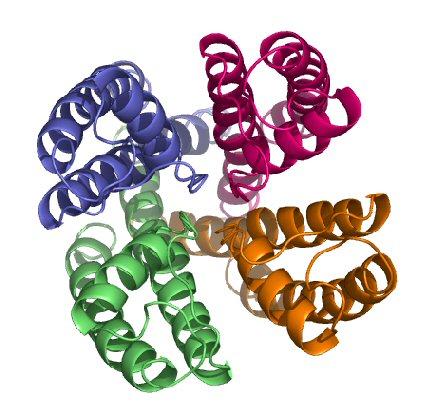 when two or more folded poly-peptide chains
