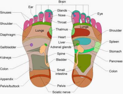 In alternative treatment, reflexology involves the practice of massaging, squeezing, or pushing on the certain areas of the body, particularly the feet are massaged to improve the functioning of the