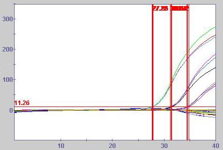 Figure 1: Amplification efficiency of the ProPneumo1 assay on different real time PCR