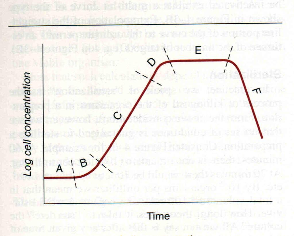 Growth curve for bacteria F- The death phase :