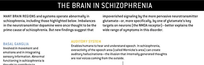 43 Schizophrenic Disorders Schizophrenic disorders are classified in category