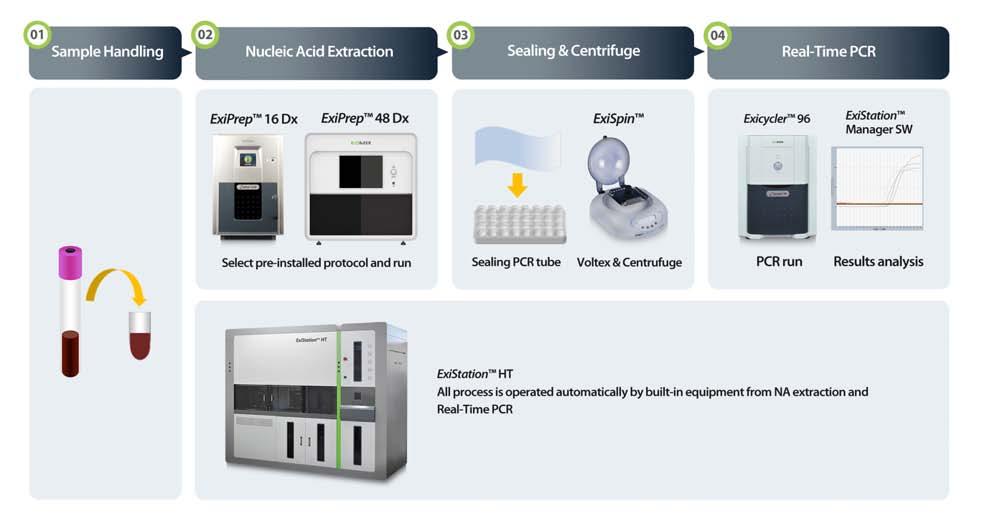 ExiStation System Configuration Sample Transfer Nucleic acid extraction Real-Time PCR ExiLT BT ExiPrep 16 Dx ExiPrep 48 Dx Exicycler 96 ExiStation ExiStation 48 ExiStation 48 A ExiStation HT Built-in