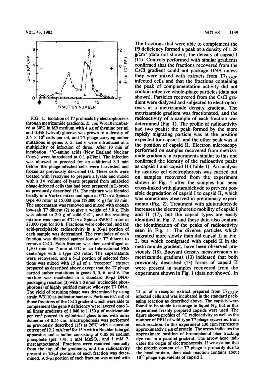 VOL. 43, 1982 a. rog 4 m- g +~~~~~'l 2 4~ 2.5xclse5 1 15 FRACTION NUMBER FIG. 1. Isolation of T7proheads by electrophoresis through metrizamide gradients. E.