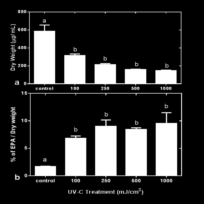 Shown are mean values ± SEs from three separately-grown and treated microalgal cultures. Bars with different letters indicate significant differences (P<0.05).