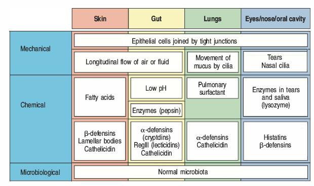 Antimicrobial factors in the body fluids, on the skin. 5.
