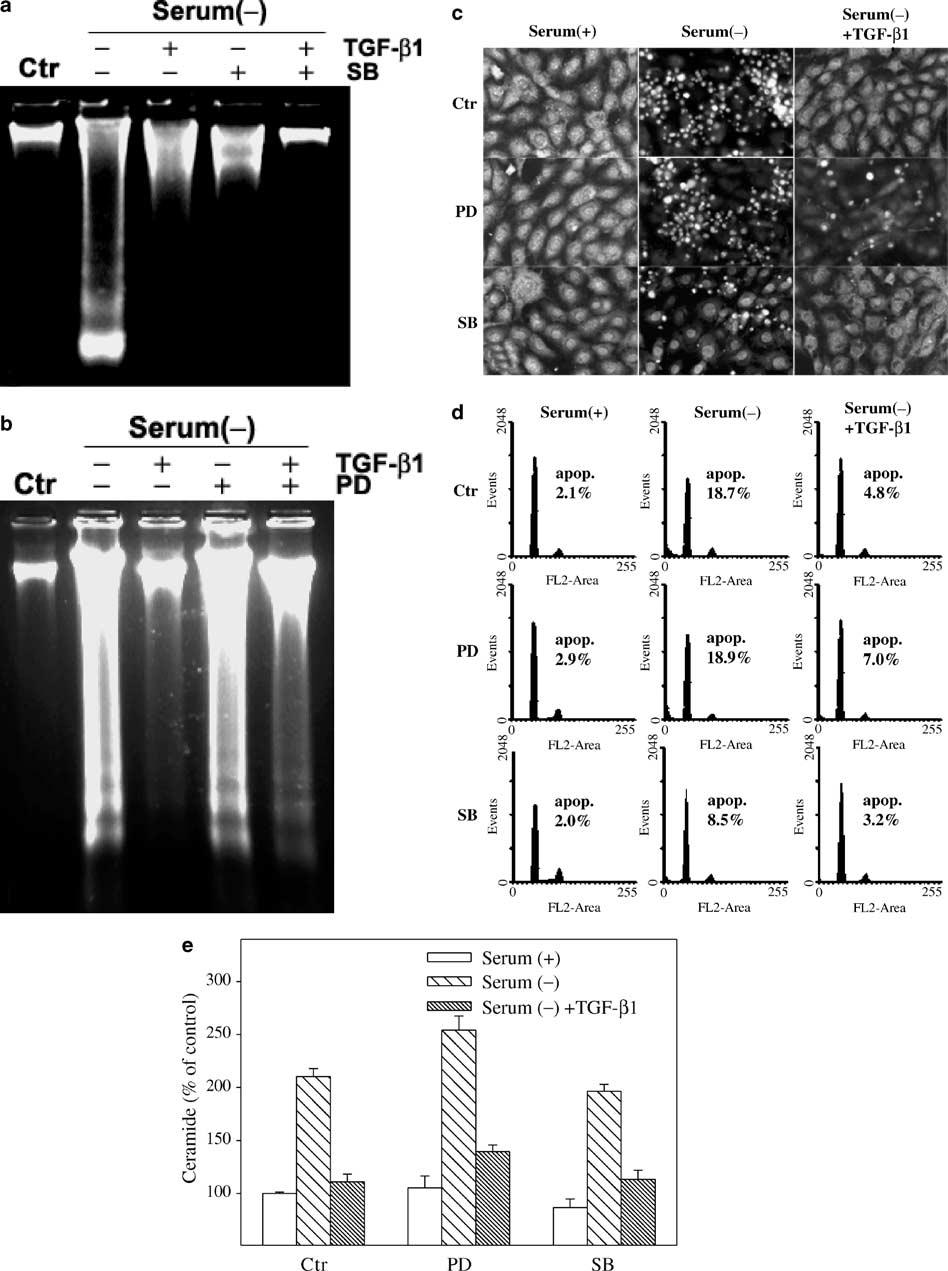 MAPK and ceramide in TGF-b1-mediated antiapoptosis 523 sults demonstrated that inhibition of serum-deprivationinduced ceramide generation is a signaling event that is associated with the