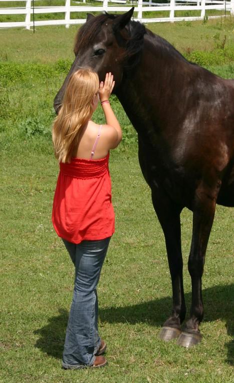 Benefits of EAGALA Model EAP Programming Practice new life skills in an emotionally safe environment Free from judgment of others Easier to TRUST the horses than people Experience being in