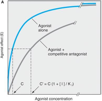 Relationship Between Dose & Response Competitive Antagonist: Reversibly competes with agonist for receptor binding Antagonism can be overcome by concentration of agonist Effect is influenced by: