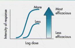 A Closer Look At Efficacy Intensity of response Efficacy: Describes the maximal effect that a drug can produce Represented by the E max The