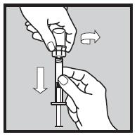 If a large air bubble or air gap can be seen near the syringe tip, SLOWLY push the white plunger rod into the syringe until fluid begins to enter the syringe tip.