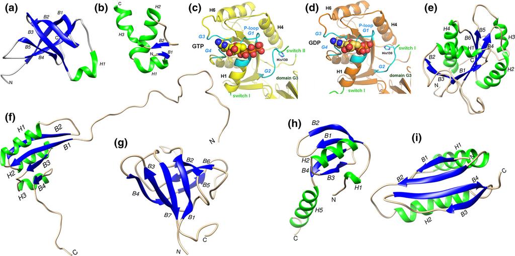 Initiation of mrna translation in bacteria: structural and dynamic aspects 4349 Fig. 4 Structures of the initiation factors IF1, IF2 IF3. Structures of: a E.