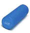 exercise options more rugged than the SISSEL Foam Roller ideal for professional