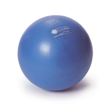noticeably relieves spine and strengthens back musculature encourages correct sitting a proven medical device in physiotherapy use to sit on at home or school including exercise poster surface has a