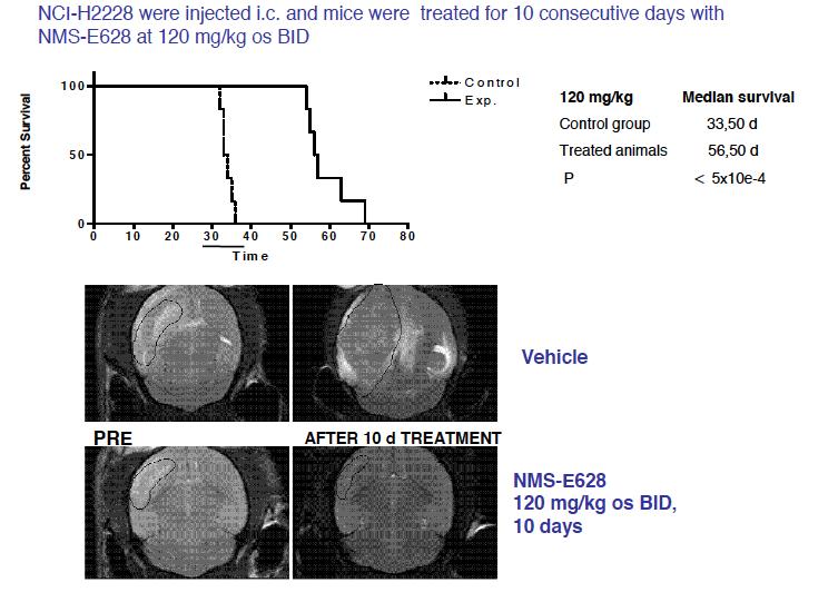 RXDX-101: Preclinical CNS Penetration BBB penetration in 3 species (brain/blood ration): Mouse: 0.4 Rat: 0.6 1.0 Dog: 1.4 2.