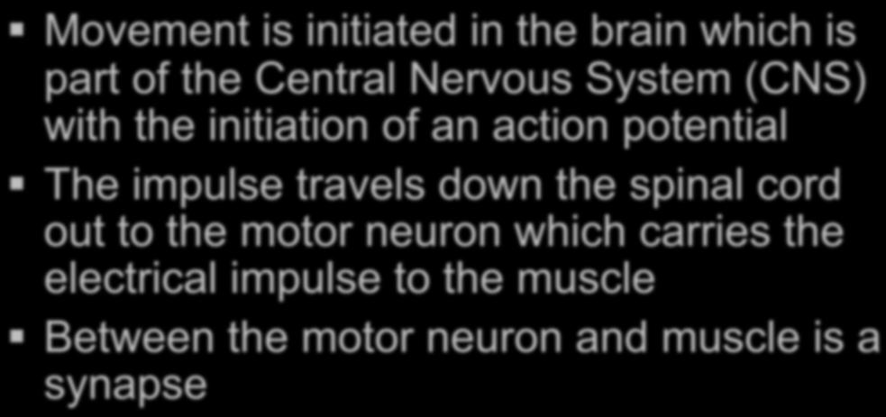 Movement: Movement is initiated in the brain which is part of the Central Nervous System (CNS) with the initiation of an action potential The impulse