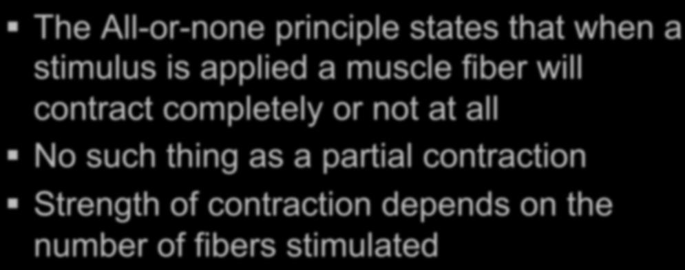 Muscles contract to create movement: The All-or-none principle states that when a stimulus is applied a muscle fiber will contract
