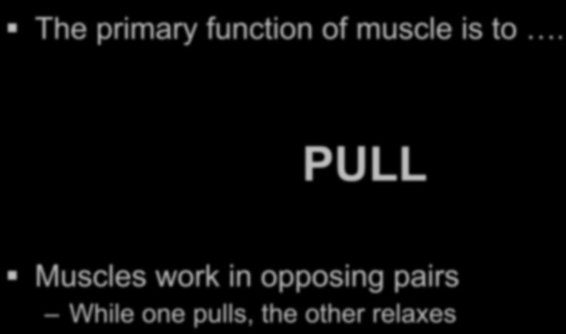 primary function of muscle is to.