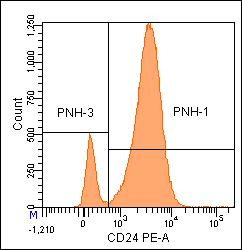 CD24 PE Mouse Anti-Human (Clone: ML5) Brand Alternative Name BD Pharmingen Heat Stable Antigen