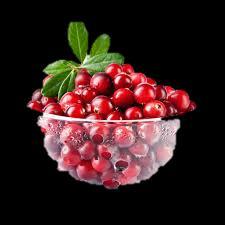 Juicing Cranberries Benefits : treatment and prevention of bacterial bladder and UTI s because proanthocyanidins. Proanthocyanidins : reduce the ability of E.