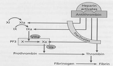 ANTITHROMBIN III Mechanism of Action PROTEIN C/PROTEIN S Mechanism of Action ANTICOAGULANT PROTEIN DEFICIENCY Disease entities Heterozygous Protein