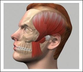 Introduction TEMPORO-MANDIBULAR JOINT DISORDERS Unit 1: Normal Anatomy of TMJ The TMJ enables movement of your jaw when you eat your food and of course when you talk and sing.