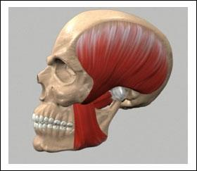 It is a very painful condition which involves the jaw joint and the muscles surrounding it.