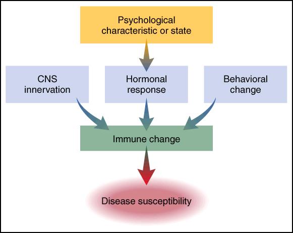 Page 4 Pathways through which psychological factors might influence onset and progression of immune system-mediated disease Figure 7.